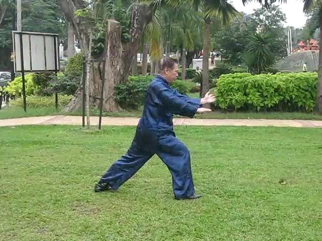 Shaolin 36 Leg Techniques